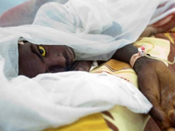 Angola’da sarı humma salgını: 178 ölü