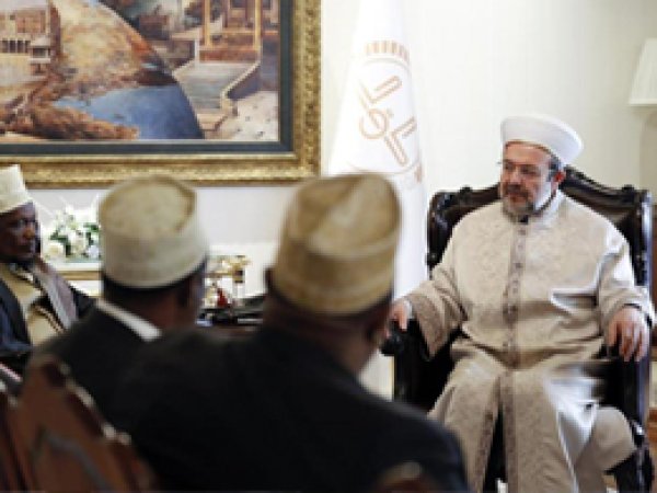 Görmez, 'İdamların hukukla ilgisi yok, siyasi'