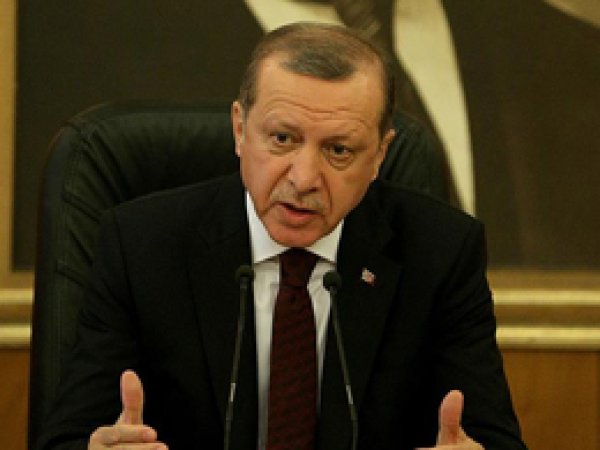 'Almanya'daki tasarının bağlayıcı yanı yok'