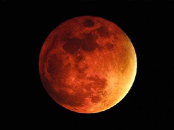 NASA Mars'ta insan mı klonlayacak?
