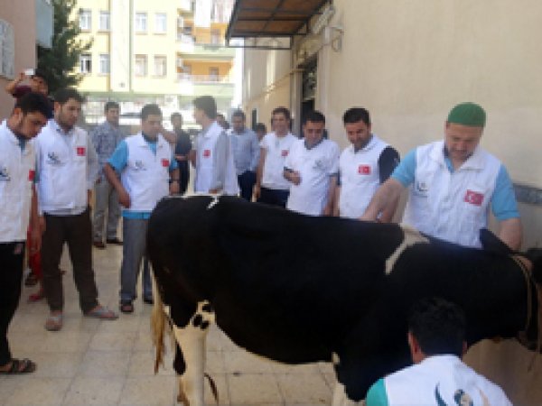 Başarısız darbe girişimi için kurban kestiler