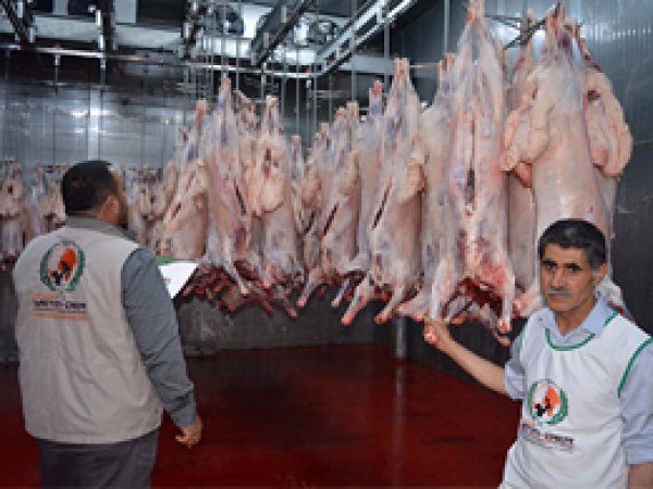 Avrupalı hayırseverlerin kurbanları kesildi