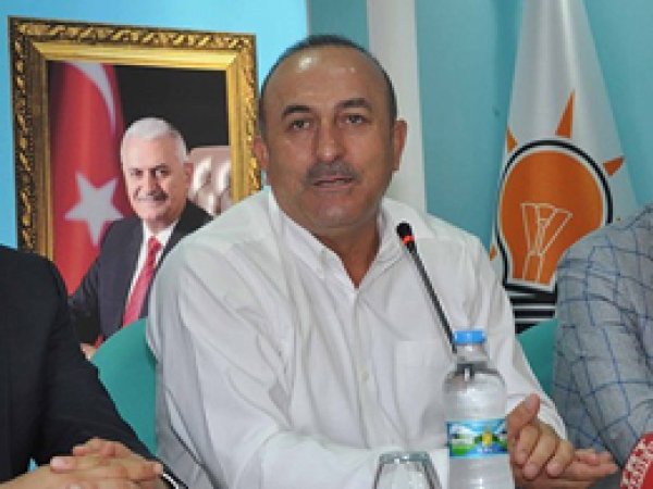 'ABD büyükelçisi Türkiye'nin valisi değildir'