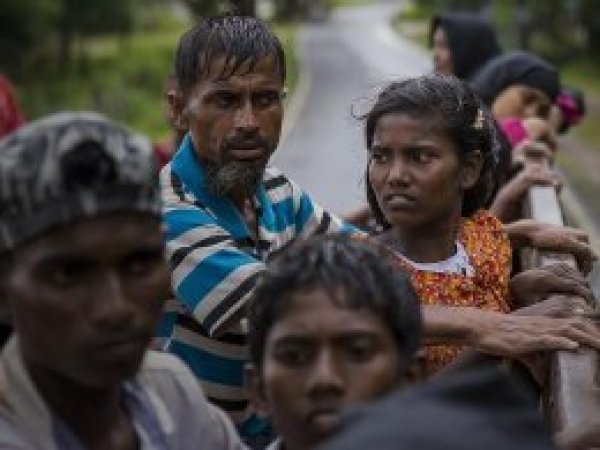 Arakan için imza kampanyası