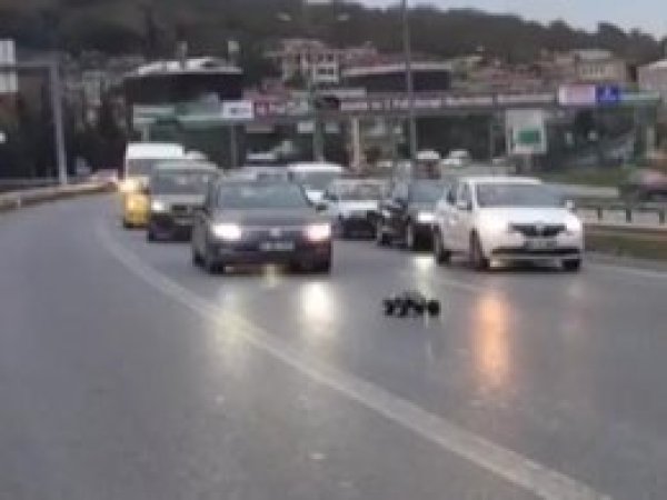 Trafikte kumandalı araba tehlikesi