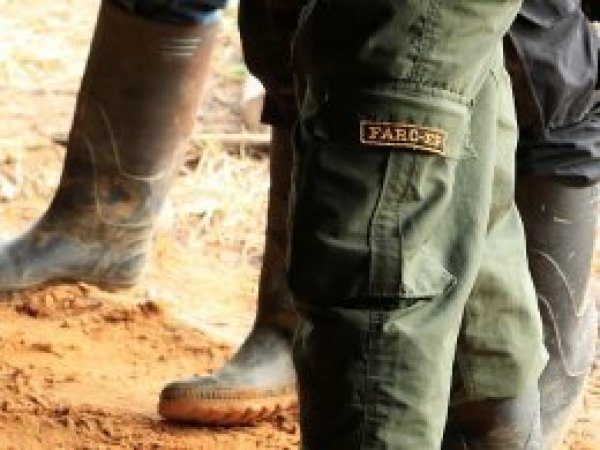 Kolombiya'da hükümet ve FARC barışı birinci yılını doldurdu