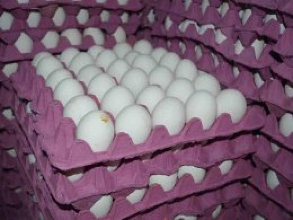 Satıcı ve tüketicilerden yumurta zammına tepki 