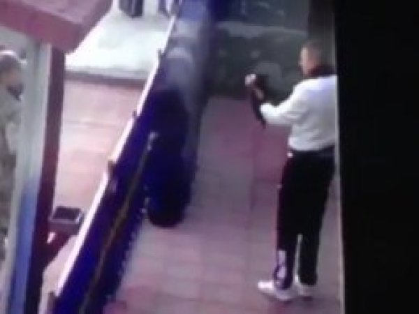 'Kediye işkence' iddiasına soruşturma