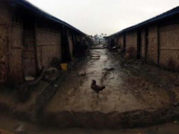 BM'den Rohingya Müslümanları raporu
