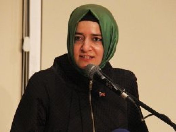 'Referandum rejim değişikliğini getirmiyor'