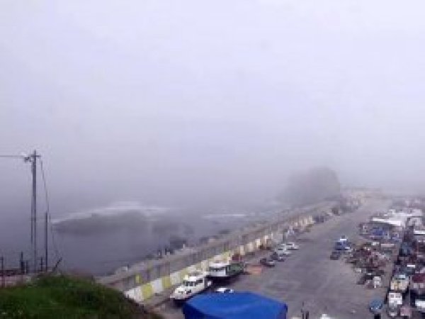 Rus askeri gemisi ile hayvan taşıyan gemi çarpıştı