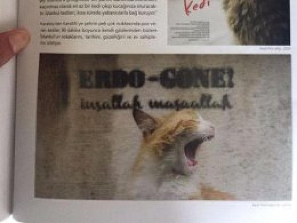 'Erdoğan gitti' yazan İBB dergisi kapatıldı