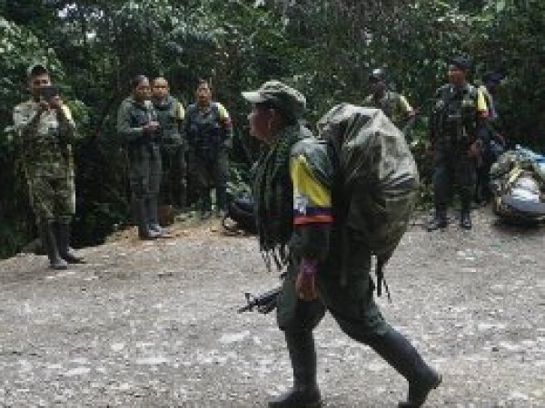 Kolombiya'da 320 FARC militanı serbest bırakıldı