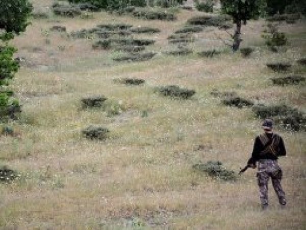 PKK kaçırdığı baba ve oğlunu katletti