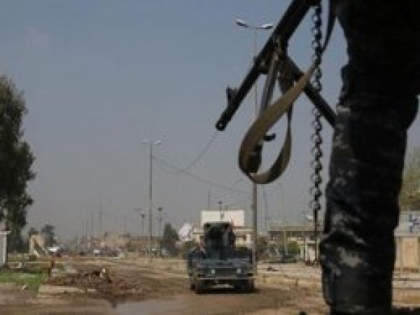 Irak'ta bomba yüklü iki inekle terör saldırısı