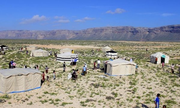 İnsan Hakları ve Özgürlükleri Örgütü: Yemen'deki BAE destekli güçler Sokotra'da ihlallerde bulunuyor