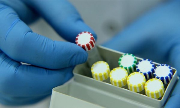 Arap ülkelerinde koronavirüs kaynaklı ölümler ve vaka sayısı artıyor