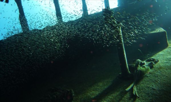 Kassam Tugayları: Batık iki İngiliz gemisinde yüzlerce mühimmat bulduk