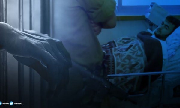 Filistinli esirden yürek yakan mektup