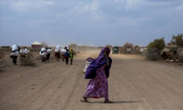 Somali'den ölümcül kuraklığa karşı küresel yardım çağrısı