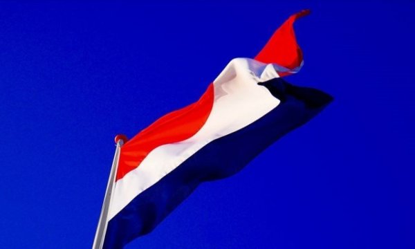Hollanda'da Hz. Muhammed'e hakaret edilmesinin suç sayılması için 124 bin 170 imza toplandı