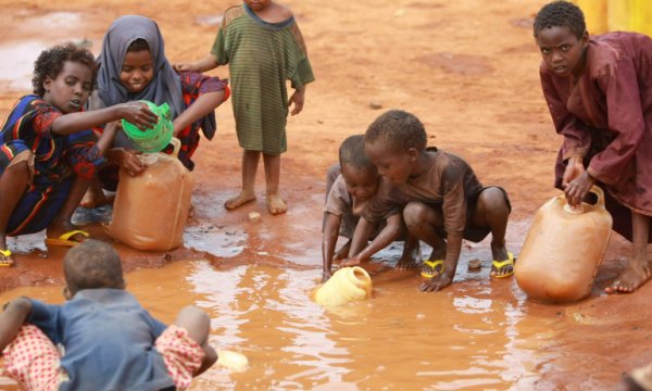 BM: Afrika'da çocuklar ölü hayvan derisi ile besleniyor