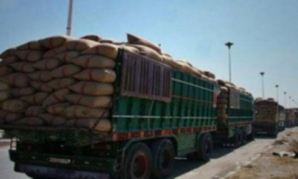 ABD, SDG/YPG desteği ile Suriye’den buğday çalıyor