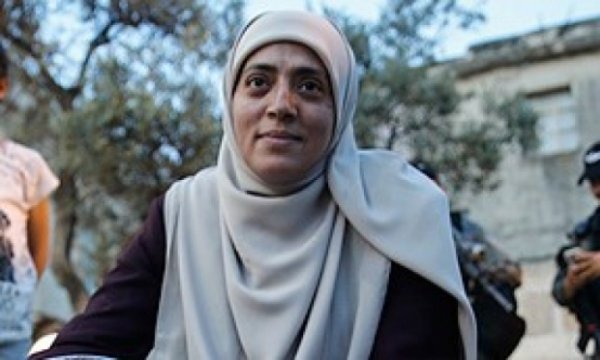 Filistinli aktivist gözaltına alındı