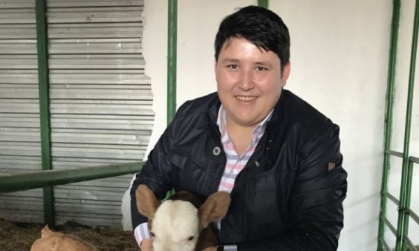 Binlerce kişiyi mağdur eden Mehmet Aydın'ın teslim olma kararının ardında 3 ihtimal var