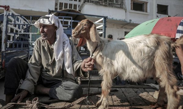 Gazzeliler kötüleşen ekonomik şartlara rağmen kurban kesebilmek için tüm imkanlarını zorluyor