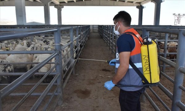 Uzmanından kurban kesim alanlarında da Kovid-19 tedbirlerinin ihmal edilmemesi uyarısı