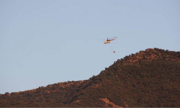 Pakdemirli: 98 orman yangınının 88’ini kontrol altına aldık, 10 yangın sürüyor