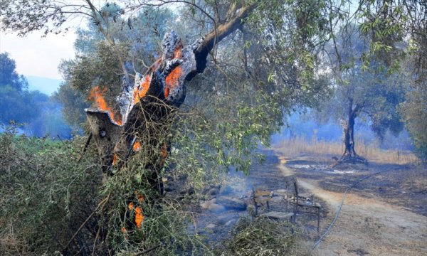 Manavgat'ta 2 kişi daha yaşamını yitirdi; 3 ilde 6 yangın devam ediyor