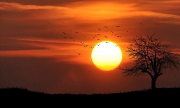 Tunus sıcaktan kırılıyor: 50,3 dereceyi gördüler