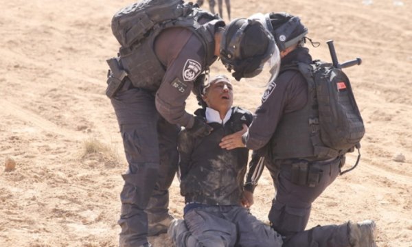 İsrail 'ağaçlandırma' bahanesiyle Filistinlilerin topraklarına el koyuyor