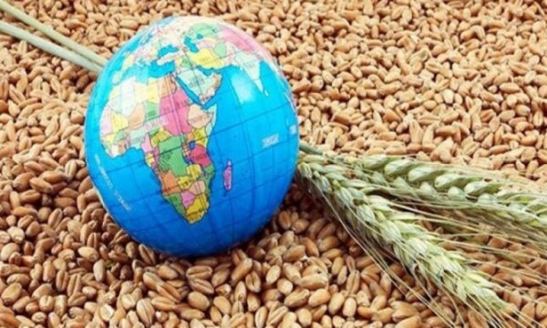 48 Ülke gıda krizi riski altında!