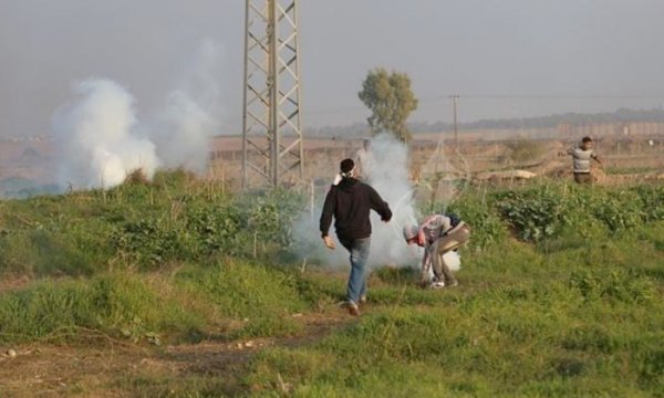 İşgalci rejim güçleri yine Filistinli çiftçilere saldırdı