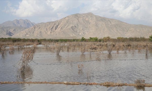 Selin vurduğu Pakistan'da tahıl üretiminin yarı yarıya düşeceği belirtiliyor