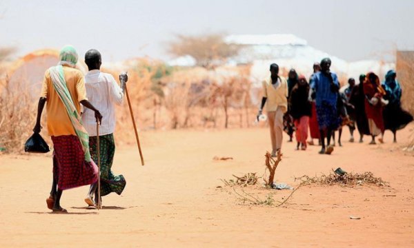 Afrika'da son 41 yılın en kurak dönemi! 
