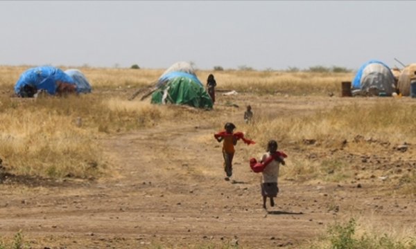 Etiyopya'da insani kriz: 11 milyon kişi gıda yardımı bekliyor