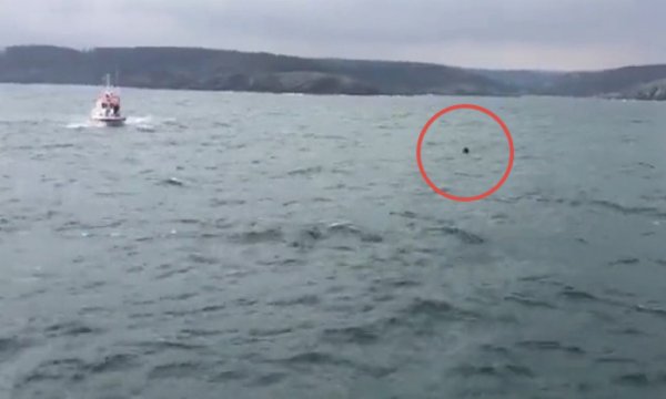 İstanbul Boğazı'nda mayın alarmı