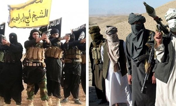 Taliban: IŞİD, işgalcilerin projesiydi 
