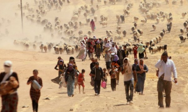 Her üç kişiden biri 2070'te iklim göçmeni olabilir