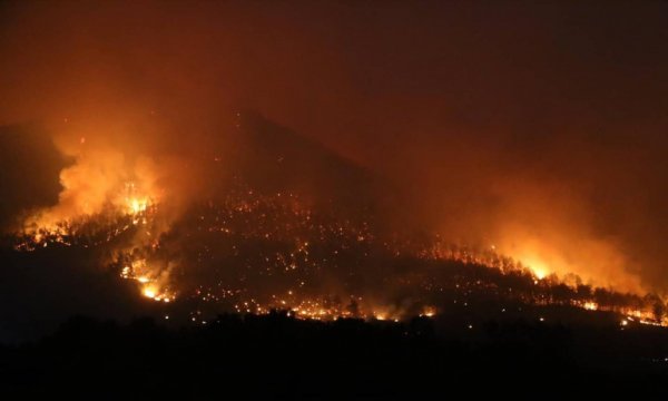 Marmaris'te çıkan yangının bilançosu belli oldu