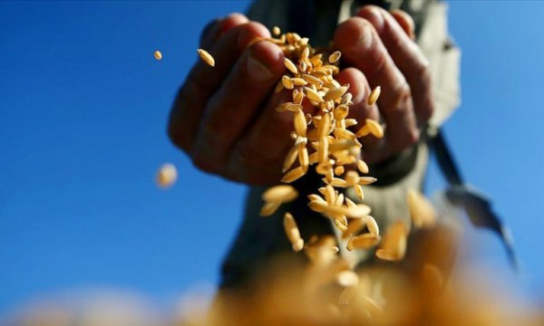 Yemen'de buğday stokları tükenmek üzere