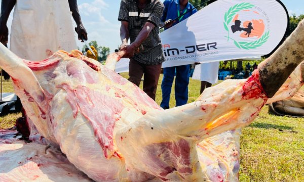 Avrupa Yetim-Der Kenya'da ilk etapta 400 hisse Kurbanı Yetim ve ihtiyaç sahiplerine ulaştırdı