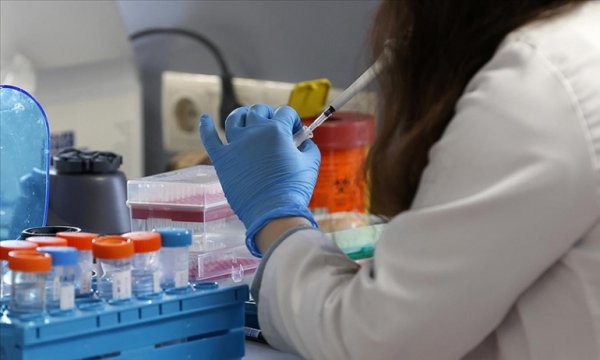 DSÖ'ye göre dünya genelinde maymun çiçeğinden 3 kişi öldü