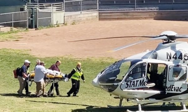 Salman Rüşdi'ye bıçaklı saldırı düzenleyen kişinin kimliği açıklandı