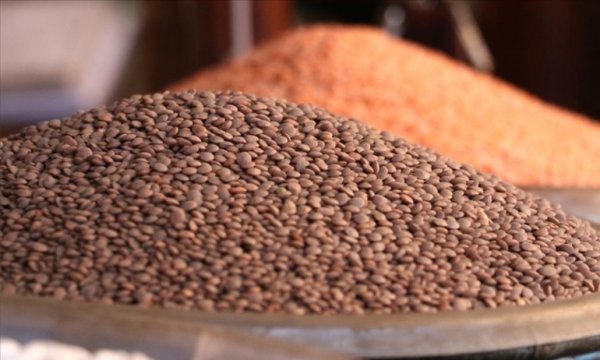 Uluslararası kuruluşlardan "küresel gıda krizinin acilen ele alınması" çağrısı