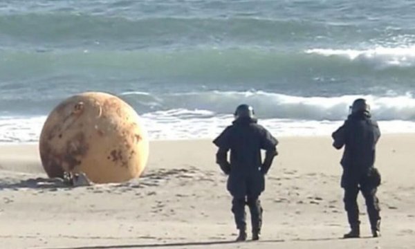 'Godzilla yumurtası mı?': Japonya'da sahile vuran küre merak uyandırdı